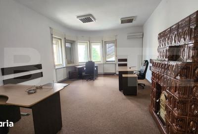 Spațiu comercial, de 230 mp, în Gheorghe Doja - 19