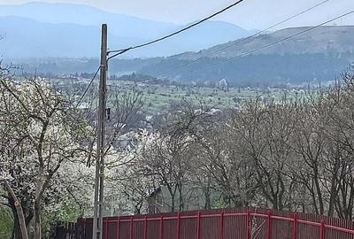 Casă cu 1 camere cu Teren 2500 Mp în Tulnici - 2