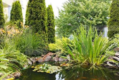 Oportunitate! Casa 300 mp utili, 1000 mp teren, zona Gruia - 8