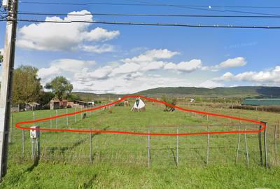 Teren Chintelnic jud Bistrita Nasaud 30 ari - 1