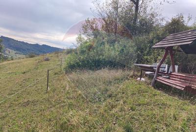 Teren constructii si faneata/livada 3082 mp Damis Bratca drum DJ 764D - 11