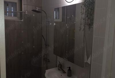 Apartament cu 2 camere semidecomandat, mobilat în Podgoria - 2