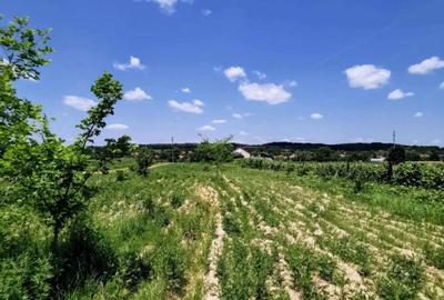 Teren extravilan 4000mp - 2