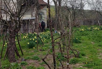Casă cu 4 camere cu Teren 2000 Mp în Bujoreni - 5