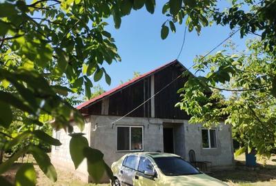 Casă cu 3 camere în Prisăcani - 1