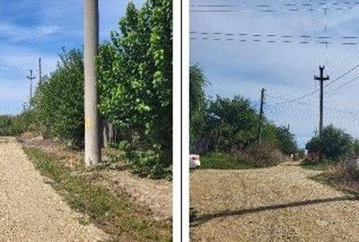 Casă cu 2 camere cu Teren 1691 Mp în Guruieni - 4