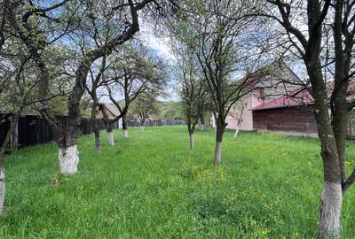 Teren Construcții intravilan de 2030 mp, în Tărlungeni - 7