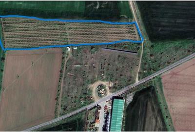 Teren de 22800 mp, în Mereni - 1