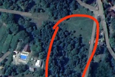 Teren de 8000 mp, în Chiuzbaia - 1