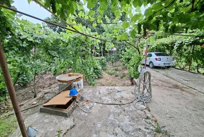 Casă cu 11 camere cu Teren 1500 Mp în Obrejița - 5