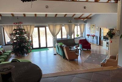 Casă cu 6 camere în Făget - 1