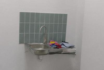 Spațiu comercial, de 130 mp, în Radu Negru - 4