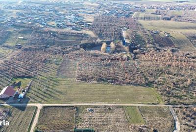 Spațiu comercial, în Paleu - 1