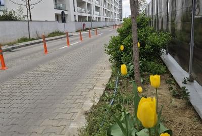 Apartament cu 2 camere decomandat, mobilat în Băneasa - 5