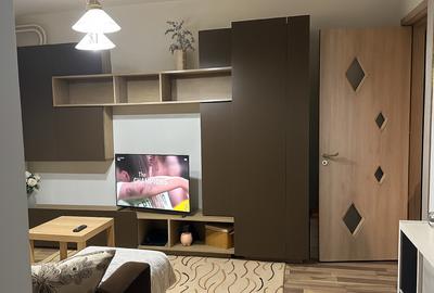 Apartament 2 camere Delfinului Iancului - 13