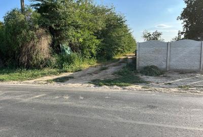 Teren în Cazasu - 1