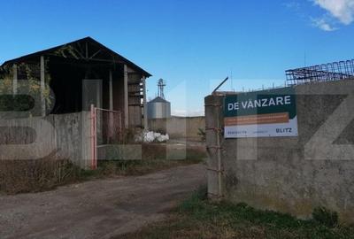 Teren 11000 mp cu toate utilitaile in cartier Chereteu Blaj - 1