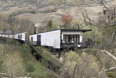 Casa de vacanta**Panorama spectaculoasa//Provita de Jos_Prahova - 4