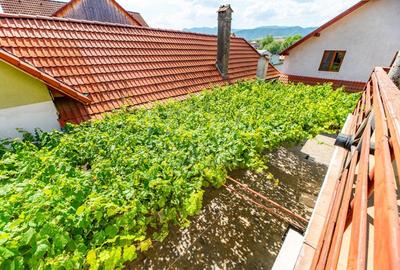 Casa + Pensiune deosebita - Orlat, Sibiu - 38