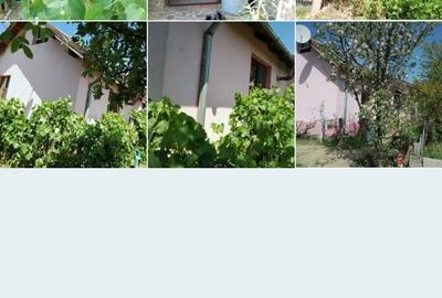 Casă cu 4 camere cu Teren 650 Mp în Bordei - 5