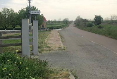 Teren Construcții intravilan de 17000 mp, în Costinești - 10