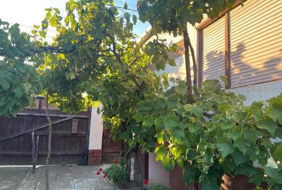 Casă cu 3 camere în Dobârca - 1