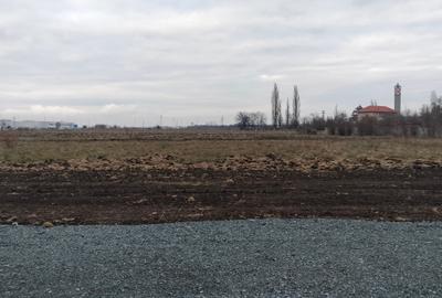 Vand teren industrial 4310 mp in Ghiroda-Aeroport - 2