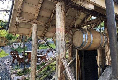 Pensiune cu 15 unita?i de cazare in Media? - 2