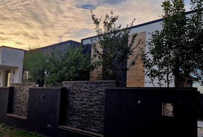 Casă cu 4 camere în Valea Adâncă - 3