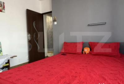 Apartament cu 2 camere decomandat în Criș - 10