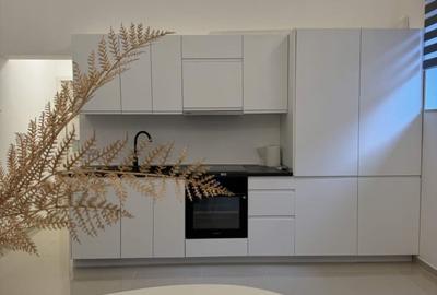 Ap. cu 2 camere de închiriat – Central, Târgu Mureș - 8