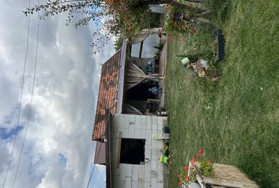 Casa de vanzare la tara - 5