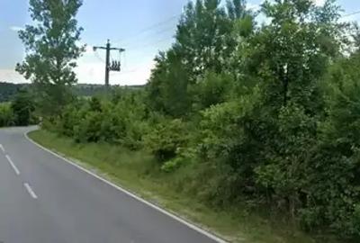 Teren extravilan de 4300 mp, în Eșelnița - 2