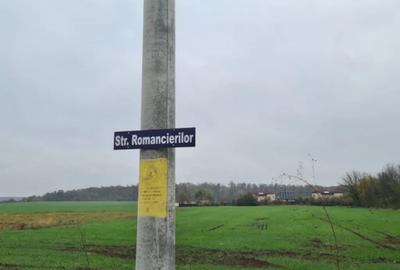 Teren de 3000 mp, în Brănești