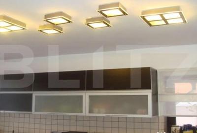 Casă cu 7 camere cu Teren 8900 Mp în Unirii - 4