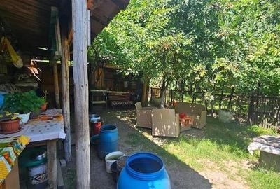 Casa clasica posibilitate extindere, Codlea, Brasov: Tur Virtual - 13