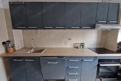 Apartament cu 2 camere decomandat în Gorjului - 4