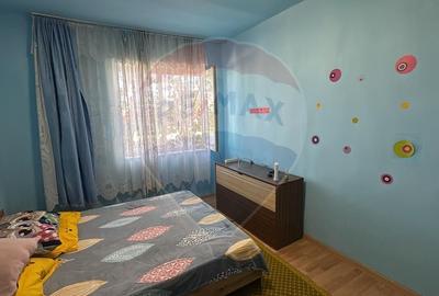 Casă individuală cu 3 camere cu Teren 2241 Mp în Sânnicolau Român - 3