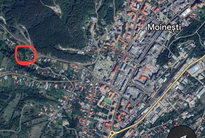 Casa+teren in Moinesti - 2