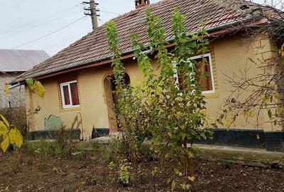 Casă cu 4 camere cu Teren 1500 Mp în Parepa-Rușani - 2
