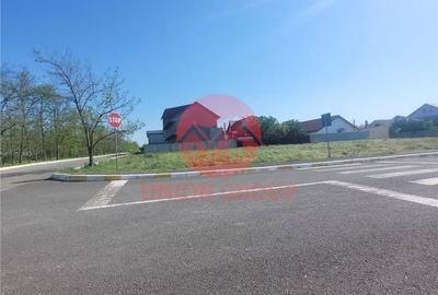 Spațiu comercial, în Valu lui Traian - 4