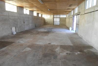 Spațiu comercial, de 250 mp, în Ineu - 3