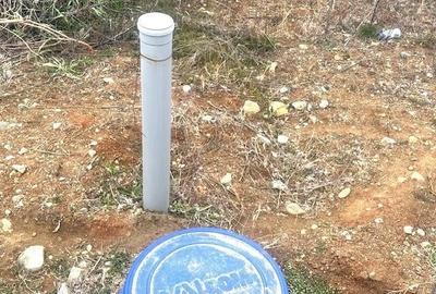 Casă cu 1 camere cu Teren 1142 Mp în Curtișoara - 3