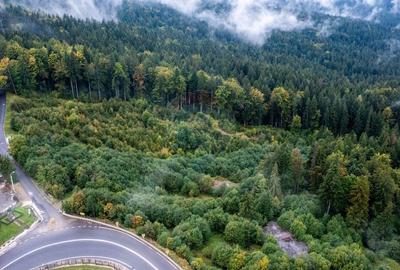 Oferta-vanzare teren intravilan 3,969mp Predeal-Strada Mihail Saulescu - 17