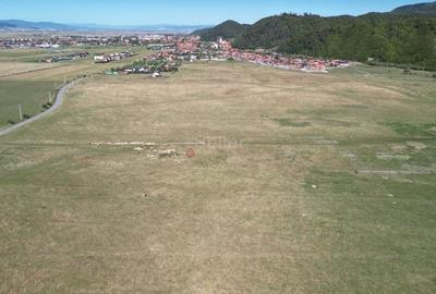 Teren extravilan Rasnov - 12