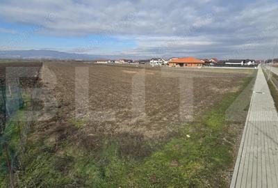 Teren de 14300 mp, în Ciugud - 5