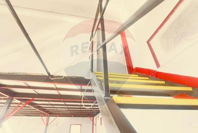 DE INCHIRIAT Spatiu comercial de 120-480 mp in zona Bucurestii Noi - 10