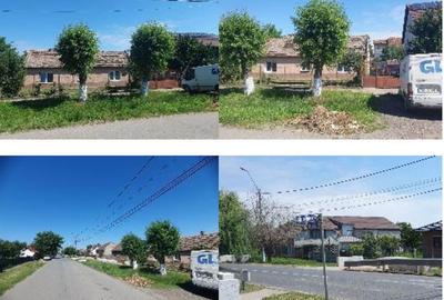 Casă cu 2 camere cu Teren 123 Mp în Cărpiniș - 1