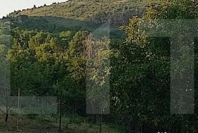 Teren de 800 mp, în Central - 6