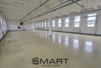 Spatii de inchiriat - Depozitare | Productie | Birouri Cisnadie - 4